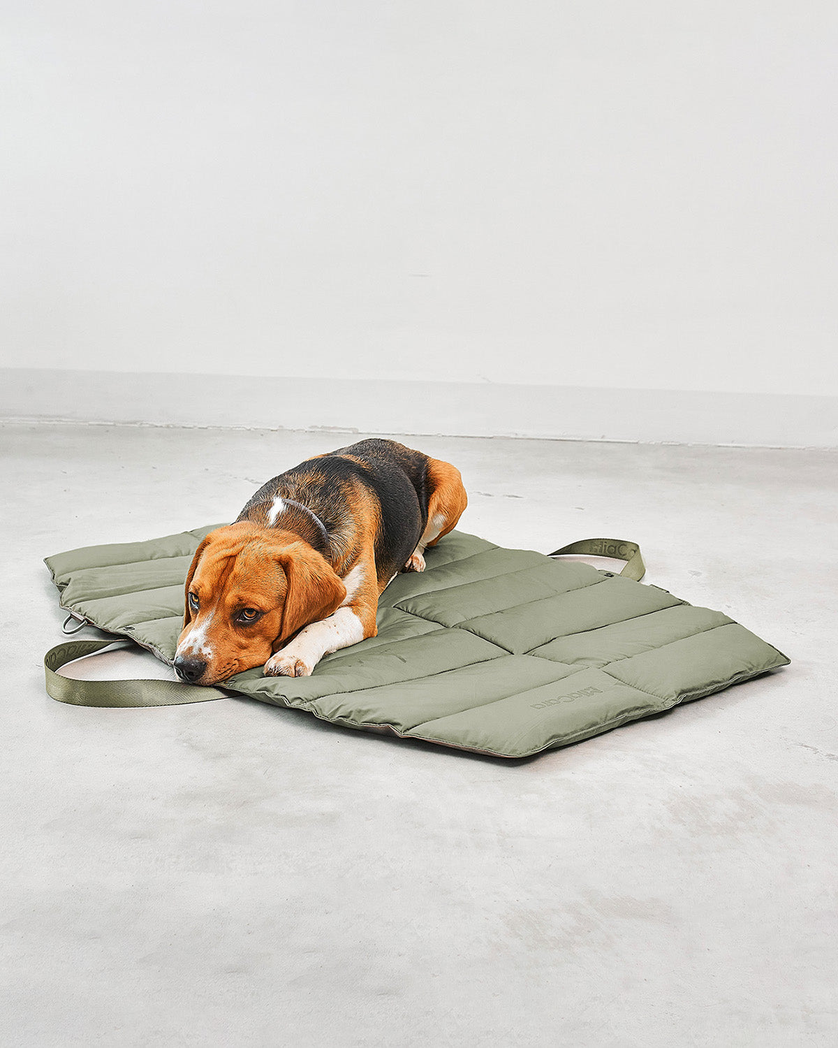 STRADA DOG TRAVEL MAT | מזרן טיולים מתקפל לכלב