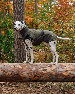 COSIMA DOG WINTER COAT | מעיל חורף לכלב