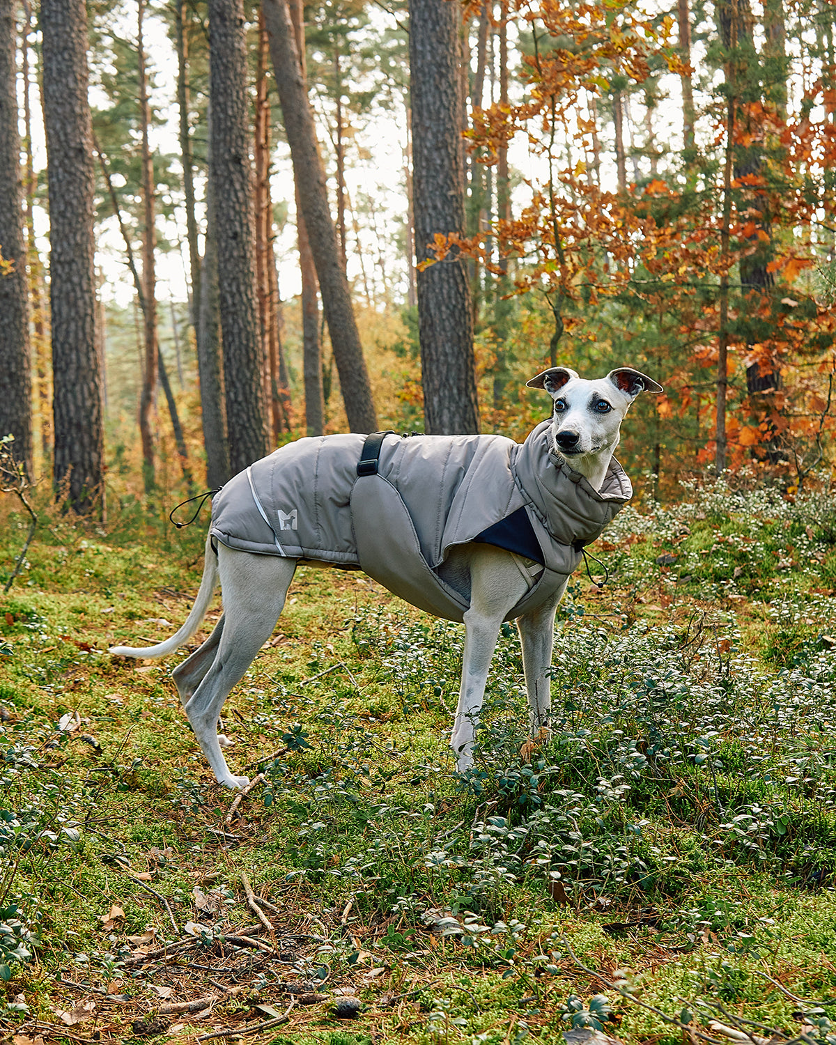 COSIMA DOG WINTER COAT | מעיל חורף לכלב