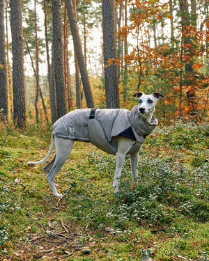 COSIMA DOG WINTER COAT | מעיל חורף לכלב