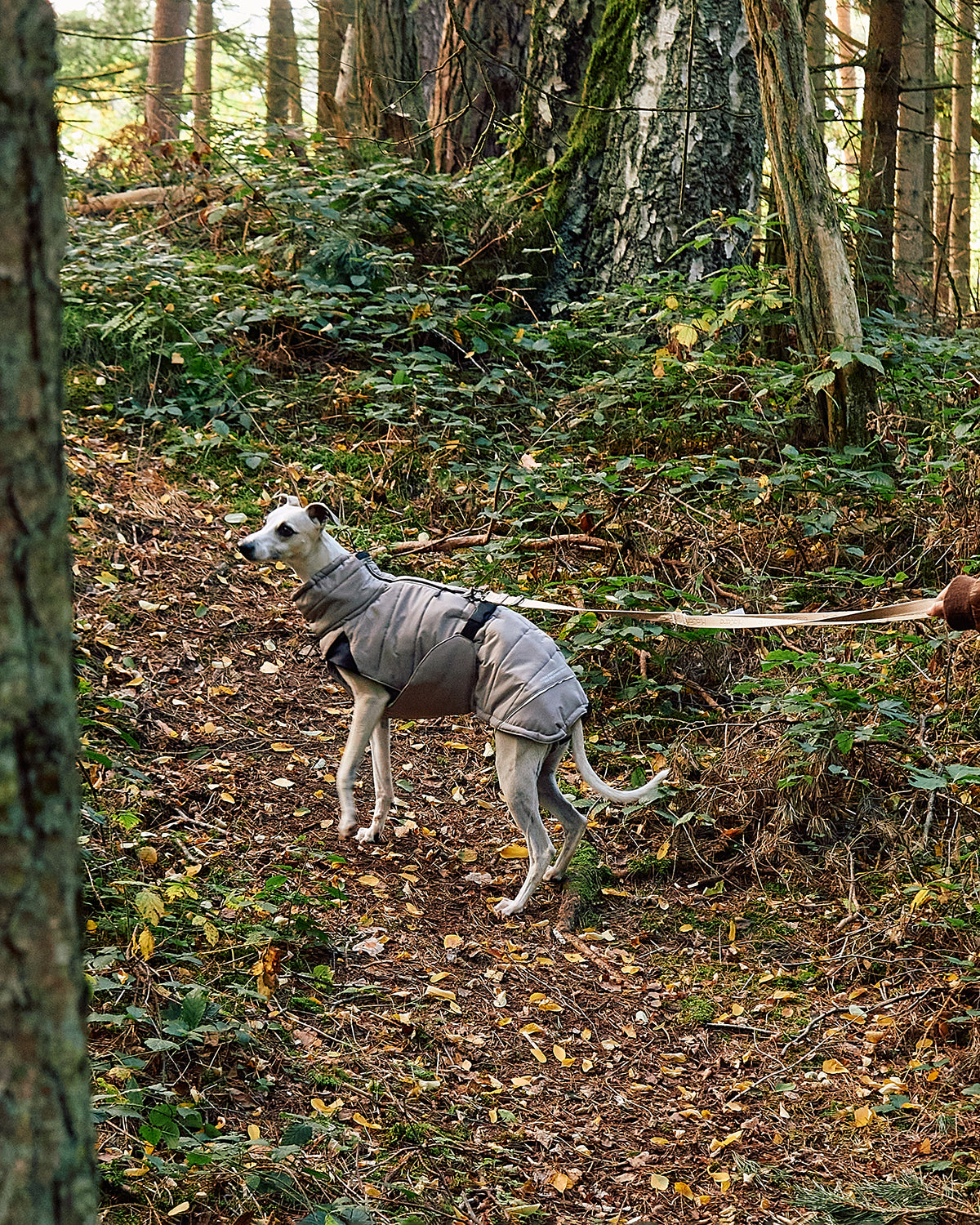 COSIMA DOG WINTER COAT | מעיל חורף לכלב