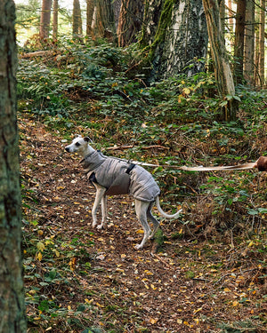 COSIMA DOG WINTER COAT | מעיל חורף לכלב