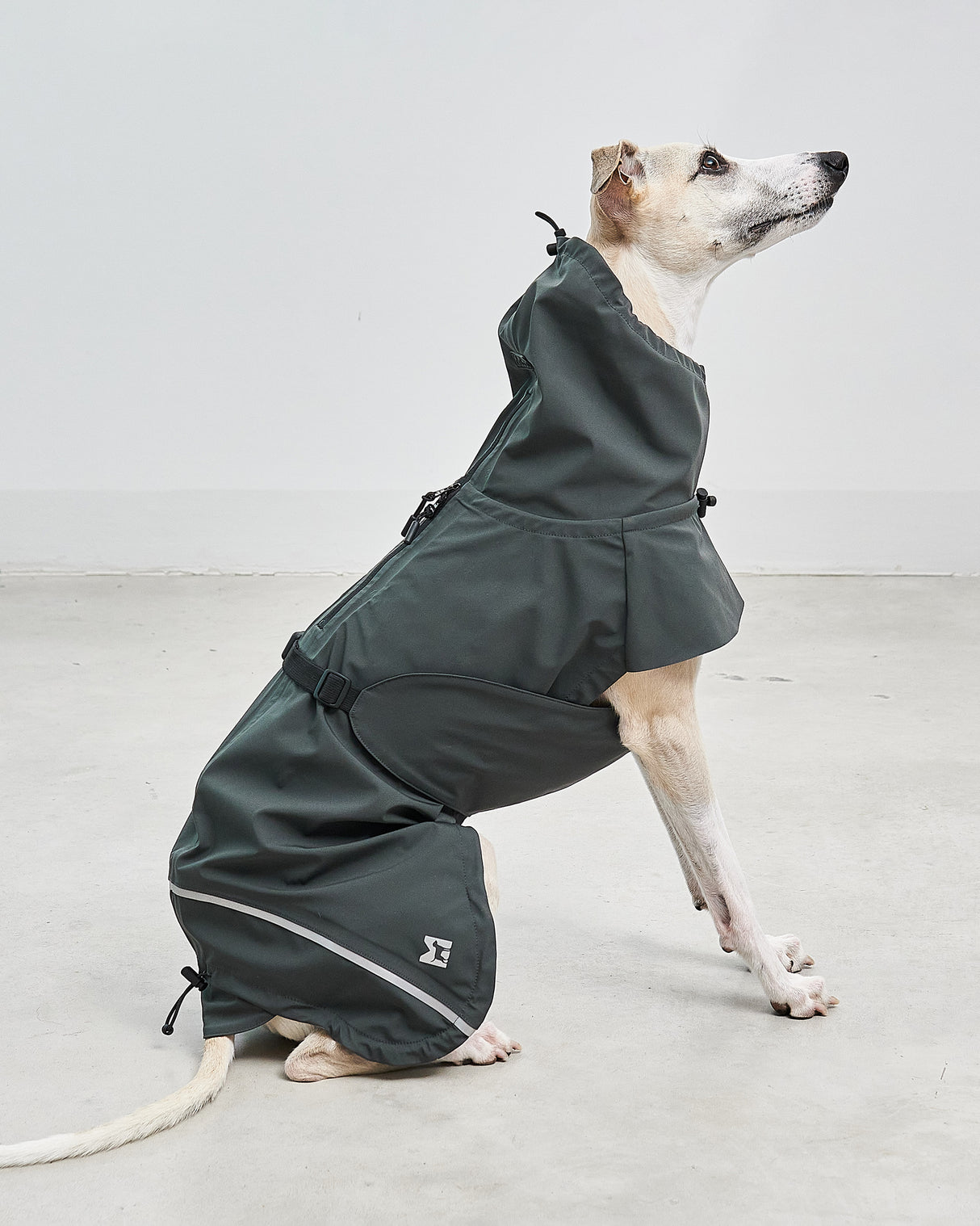 VALENTINA DOG RAINCOAT | מעיל גשם ורוח לכלב