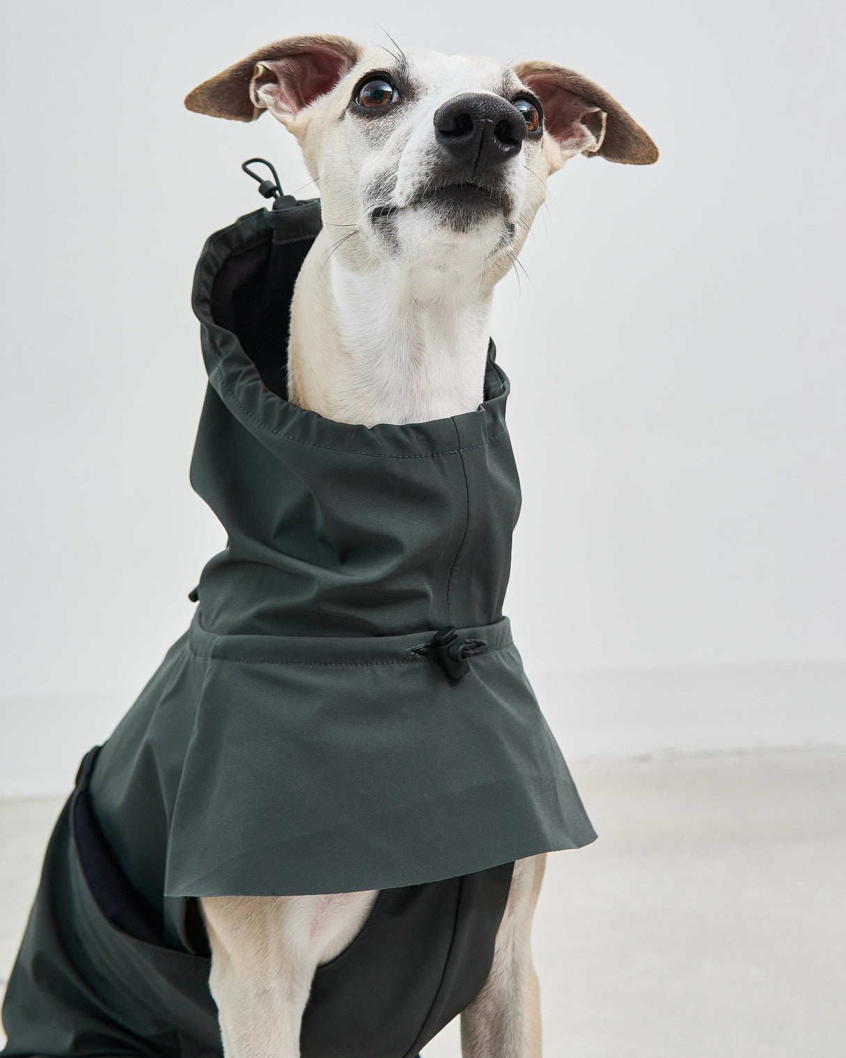 VALENTINA DOG RAINCOAT | מעיל גשם ורוח לכלב