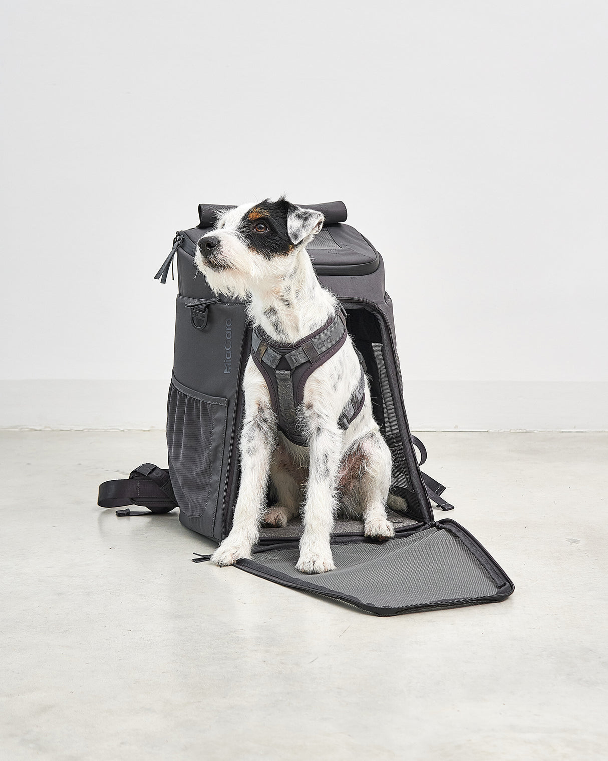 ZAINO DOG & CAT BACKPACK | תיק גב לנשיאה לכלבים ולחתולים