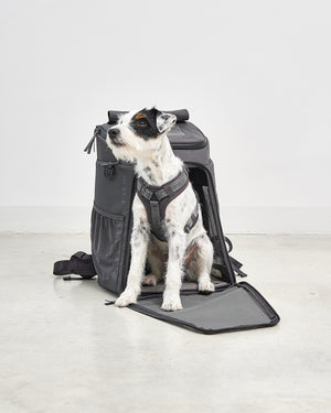 ZAINO DOG & CAT BACKPACK | תיק גב לנשיאה לכלבים ולחתולים