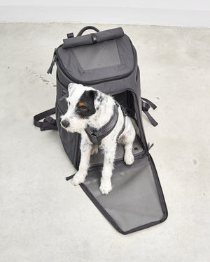 ZAINO DOG & CAT BACKPACK | תיק גב לנשיאה לכלבים ולחתולים