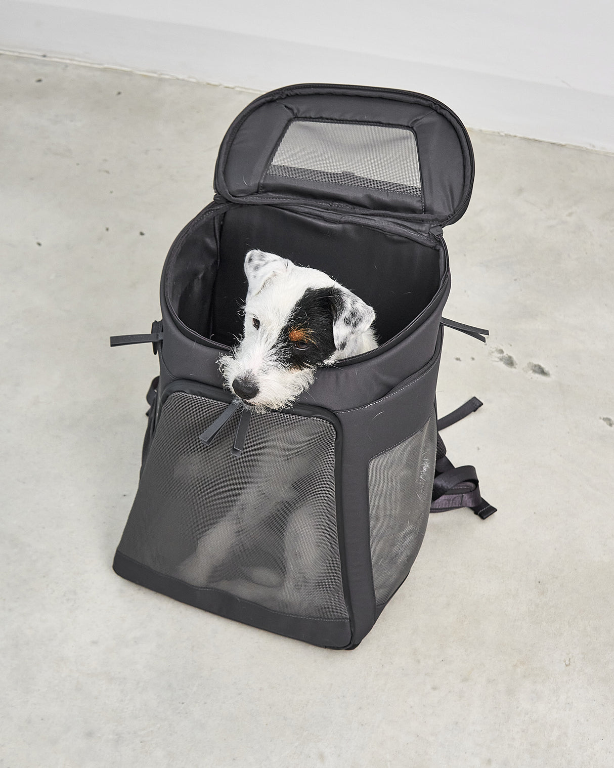 ZAINO DOG & CAT BACKPACK | תיק גב לנשיאה לכלבים ולחתולים
