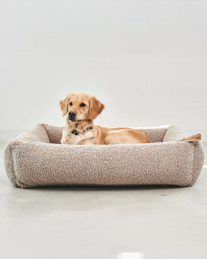 SENSO DOG BOX BED | מיטה אורתופדית לכלב
