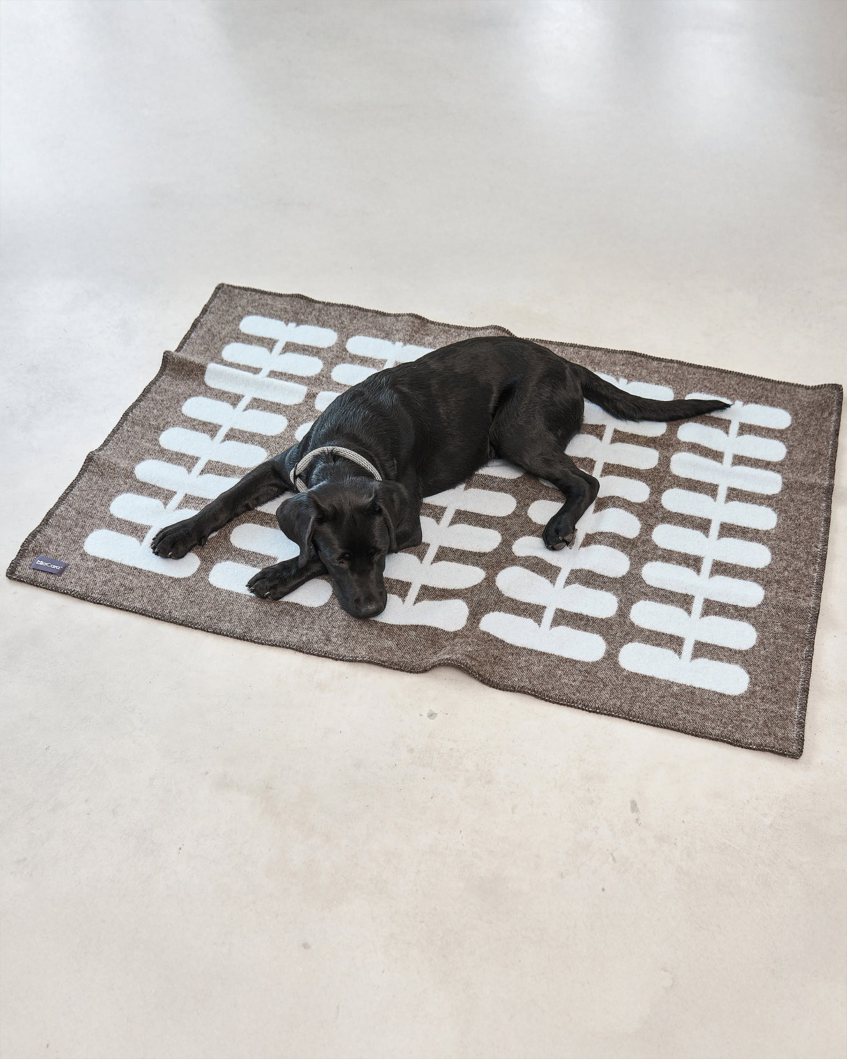 FLORA DOG WOOL BLANKET | שמיכה לכלב