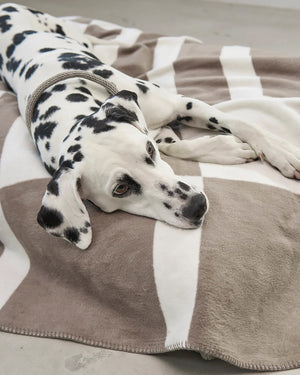 BLOCCO DOG COTTON BLANKET | שמיכה לכלב