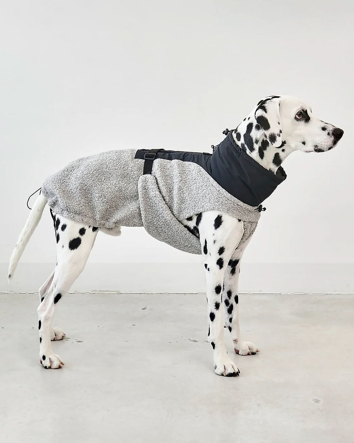 EMILIA DOG COAT | מעיל לכלב