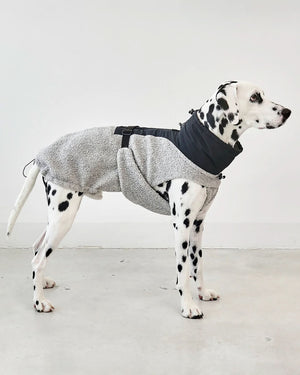 EMILIA DOG COAT | מעיל לכלב