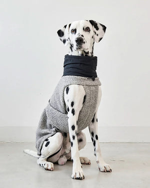 EMILIA DOG COAT | מעיל לכלב