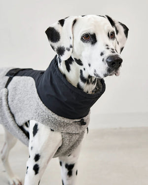 EMILIA DOG COAT | מעיל לכלב