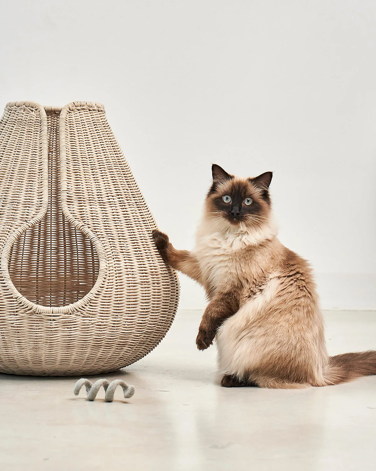 PERLA CAT CAVE | מיטה לחתול