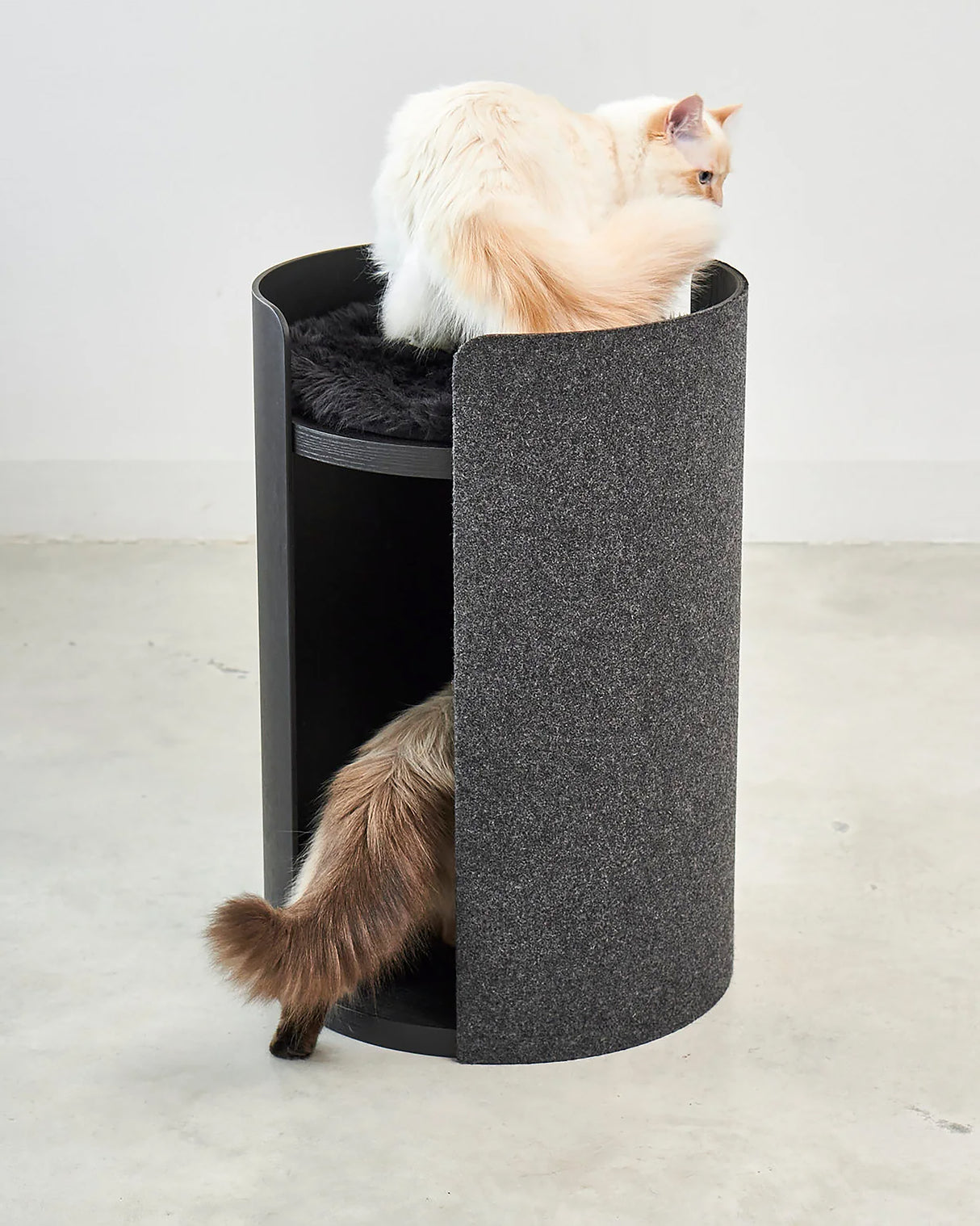 TORRE CLIMBING & SCRATCHING CAT POST | מגדל טיפוס וגירוד לחתולים