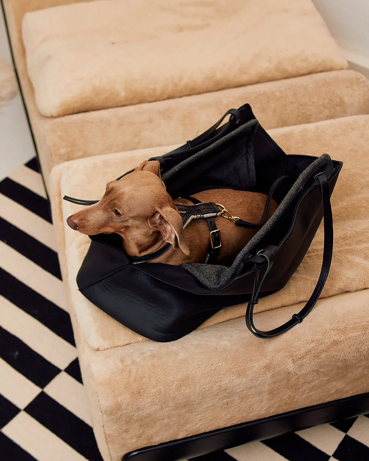 תיק נשיאה לכלב מעור אלגנטי | Borsa Dog Leather Carrier Bag