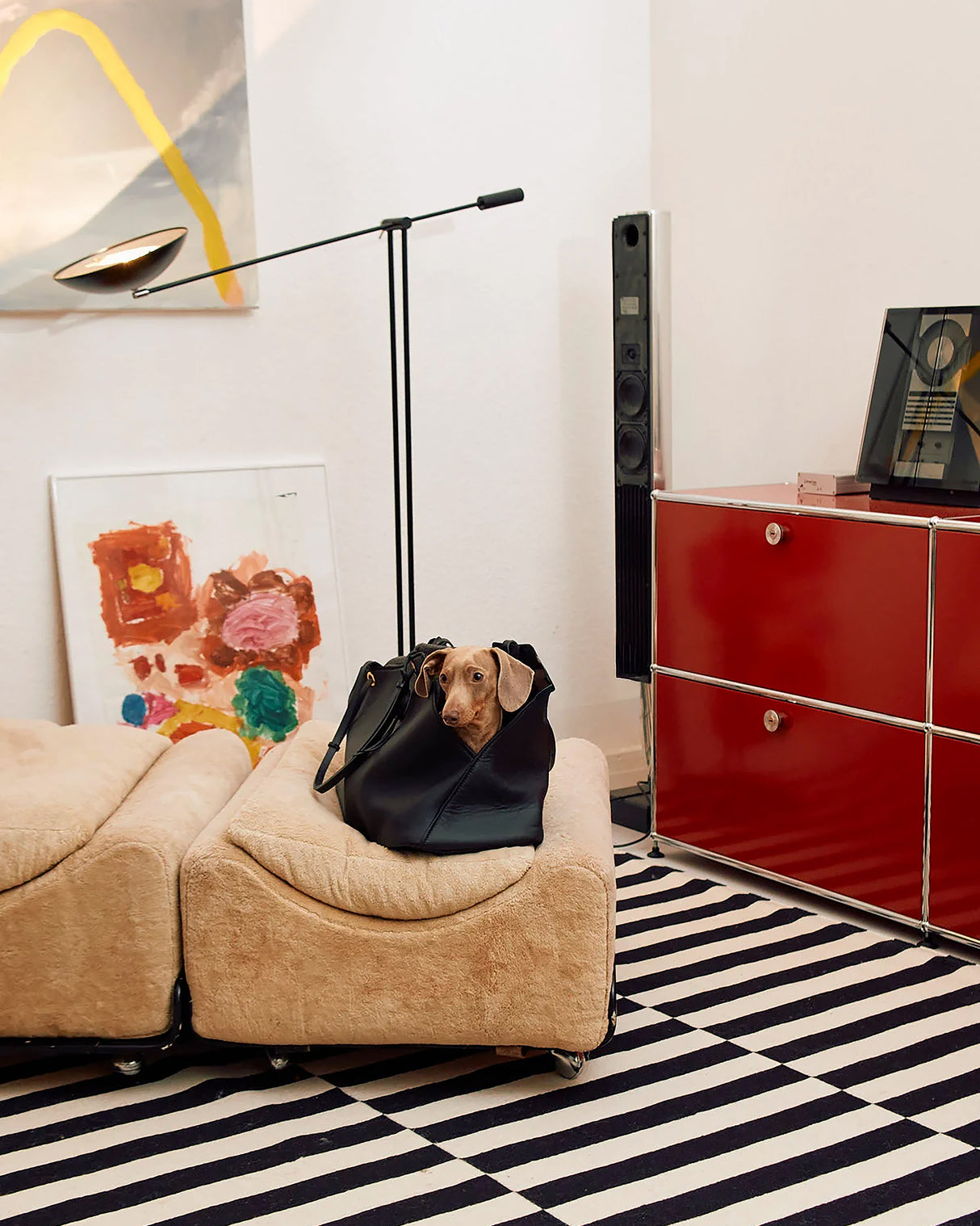 תיק נשיאה לכלב מעור אלגנטי | Borsa Dog Leather Carrier Bag