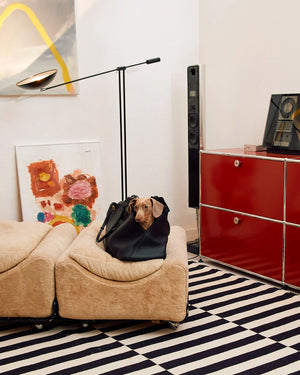 תיק נשיאה לכלב מעור אלגנטי | Borsa Dog Leather Carrier Bag