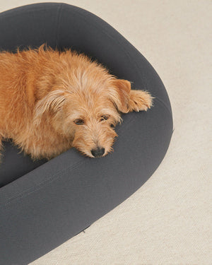 מיטה  אורתופדית לכלב | BARCA ORTHOPEDIC DOG BED