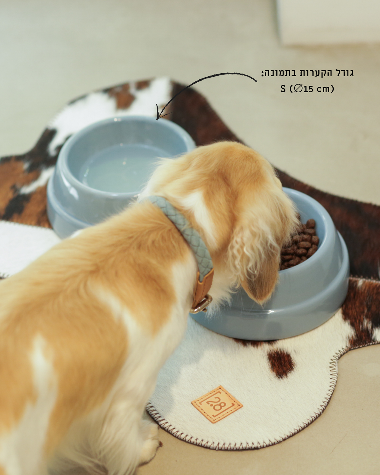 קערת קרמיקה איטלקית לכלבים ולחתולים | SEBASTIÃO DOG & CAT CERAMIC BOWLS