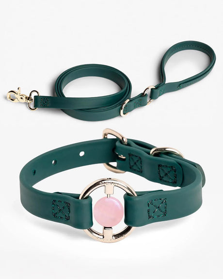 Crystal Walk Set For Dogs | סט רצועה וקולר משובץ אבן קריסטל