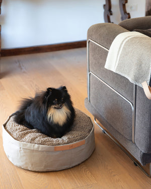 IRVING DOG BED | מיטה לכלב