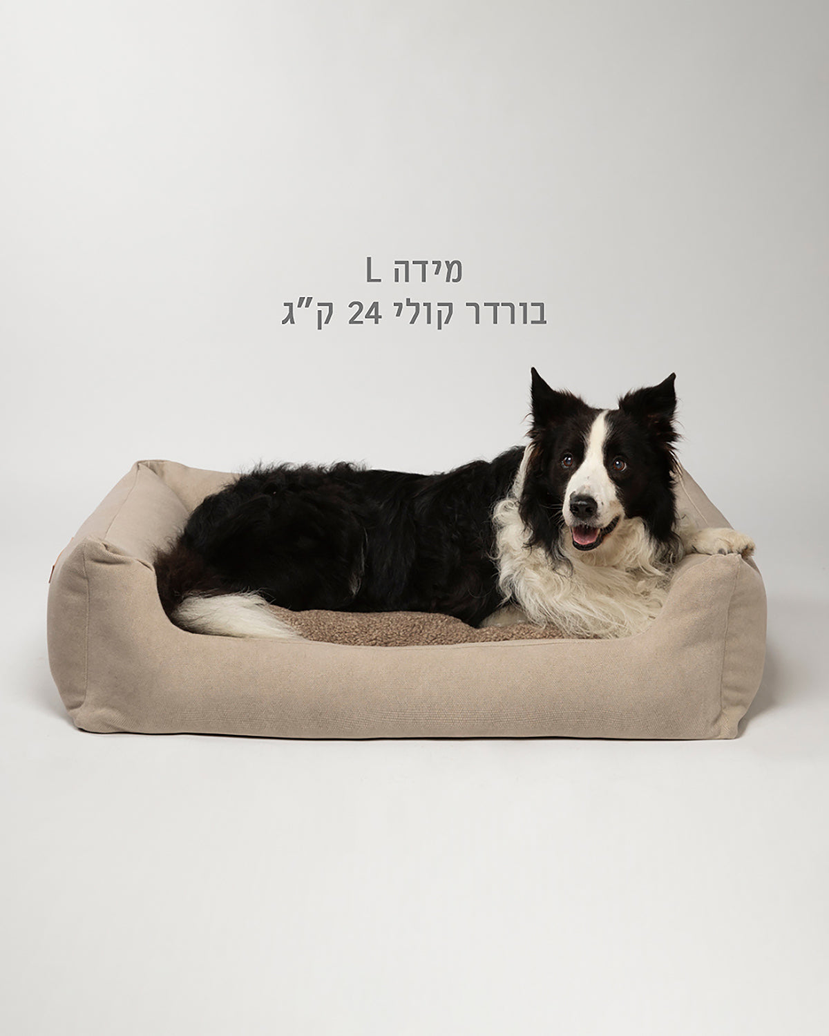 HENRI COWHIDE BED | מיטה לכלב