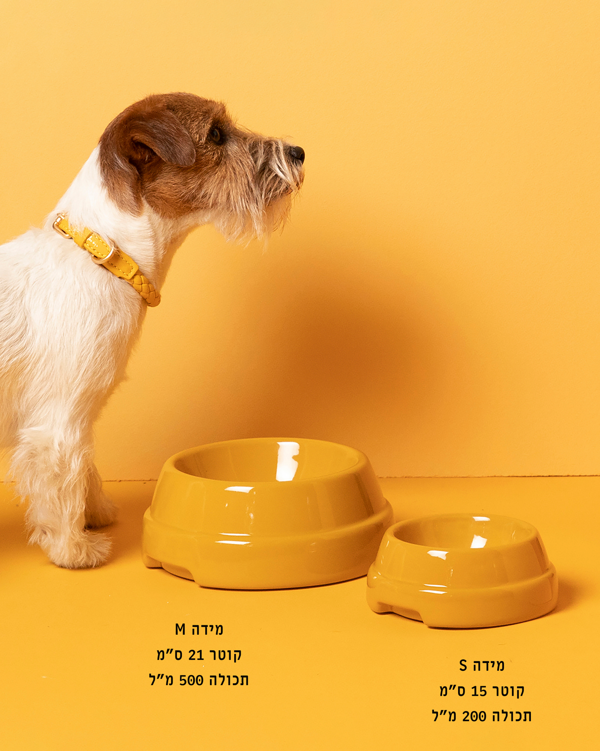קערת קרמיקה איטלקית לכלבים ולחתולים | SEBASTIÃO DOG & CAT CERAMIC BOWLS