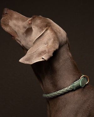 קולר קלוע לכלב מעור נאפה איטלקי | FERDINANDO NAPPA LEATHER COLLAR
