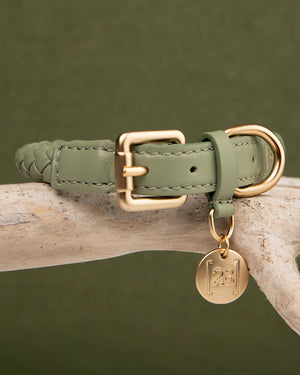 קולר קלוע לכלב מעור נאפה איטלקי | FERDINANDO NAPPA LEATHER COLLAR