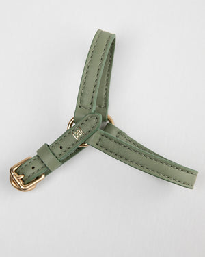 רתמה לכלב מעור נאפה איטלקי | MARIO NAPPA LEATHER DOG HARNESS