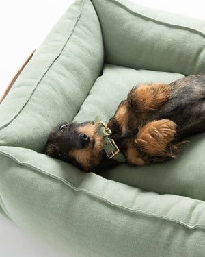מיטה לכלב מפשתן טהור | EDWARD PURE LINEN DOG BED