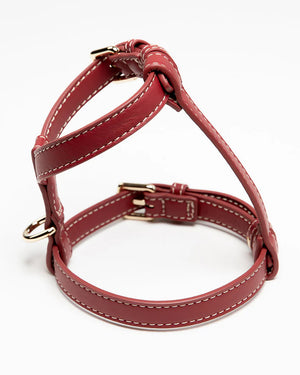 רתמה לכלב מעור נאפה איטלקי | GABRIELE DOG HARNESS