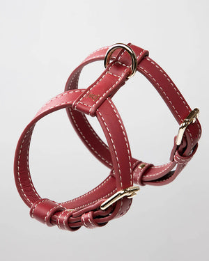 רתמה לכלב מעור נאפה איטלקי | GABRIELE DOG HARNESS