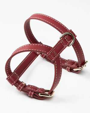 רתמה לכלב מעור נאפה איטלקי | GABRIELE DOG HARNESS