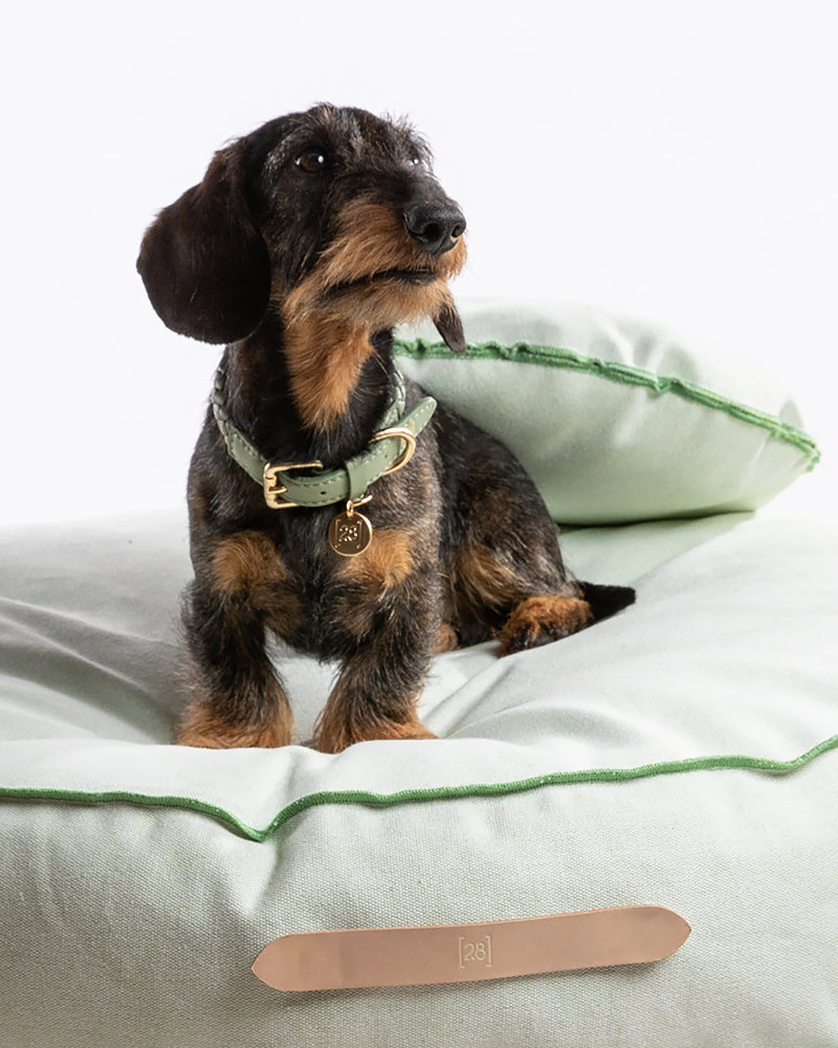 מיטת פוף לכלב מכותנת Duck איטלקית | FULVIO DOG BED