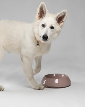 SARAH DOG & CAT CERAMIC BOWLS |  קערות קרמיקה לכלבים ולחתולים