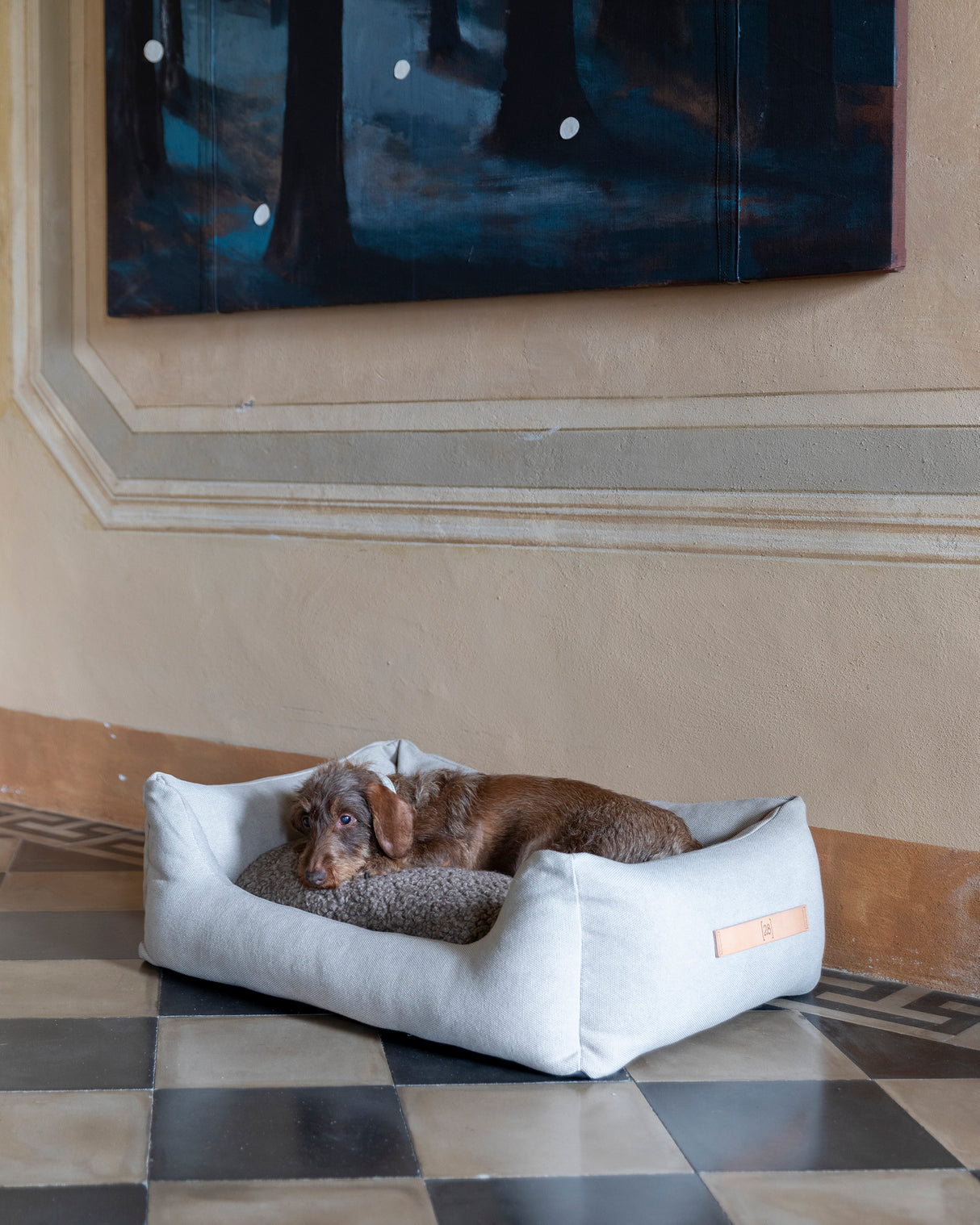 HENRI ORGANIC COTTON BED | מיטה לכלב