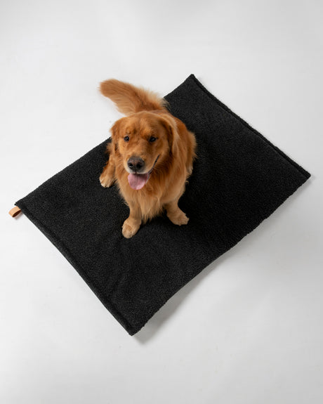 RICHARD SLIM DOG CUSHION | כרית לכלב