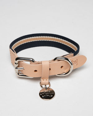 FRANCO RIBBON DOG COLLAR | קולר לכלב