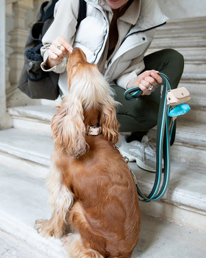 רצועה ארוכה ומתכווננת לכלב בעיצוב איטלקי | FREE-HANDS FRANCO RIBBON LEASH