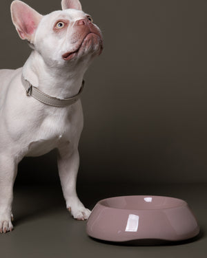 SARAH DOG & CAT CERAMIC BOWLS |  קערות קרמיקה לכלבים ולחתולים