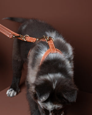GABRIELE NAPPA LEATHER DOG HARNESS | רתמת עור נאפה לכלב