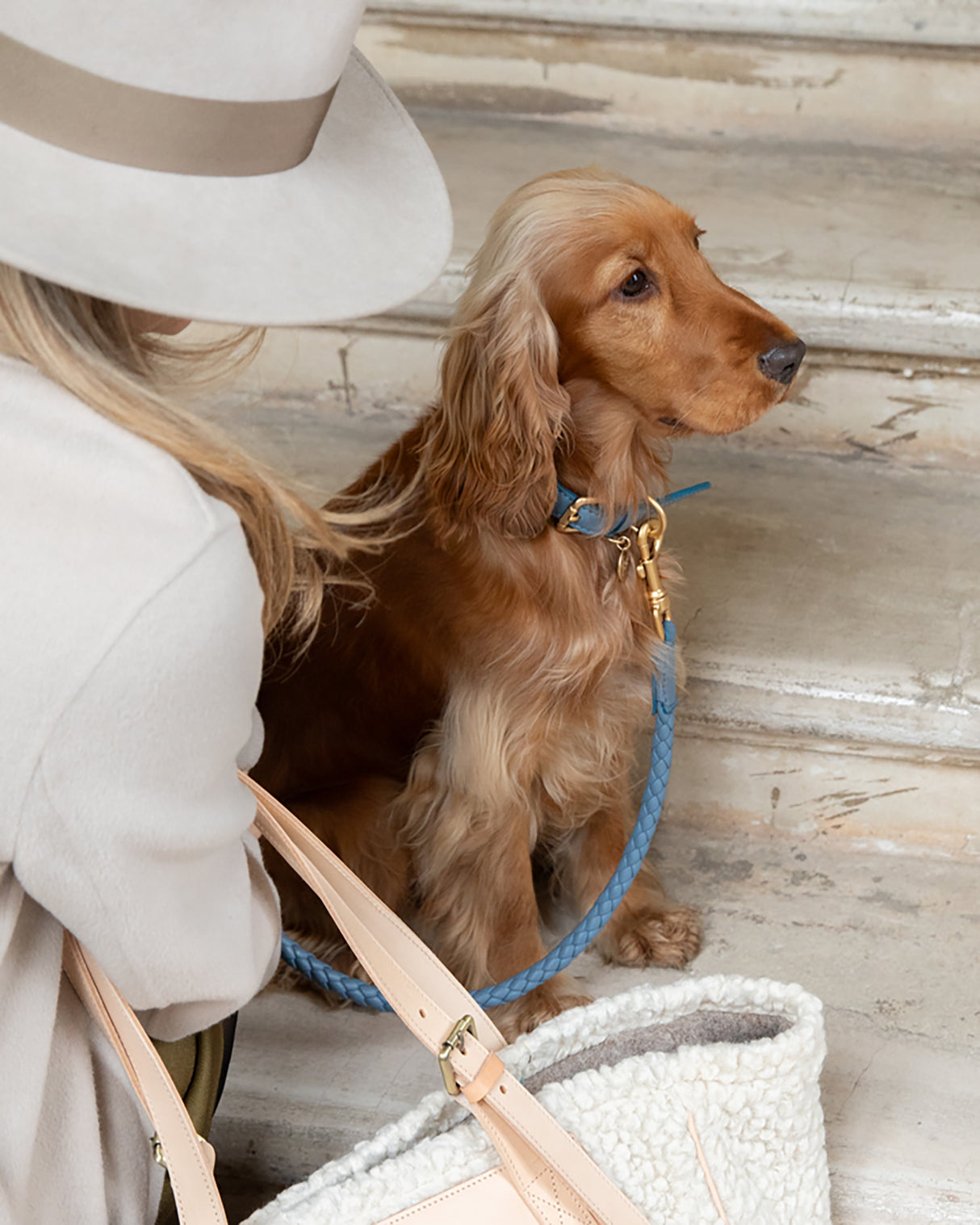 MARIO WIDE LEATHER COLLAR | קולר עור נאפה רחב לכלב