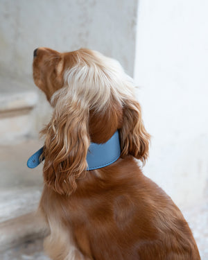 MARIO WIDE LEATHER COLLAR | קולר עור נאפה רחב לכלב