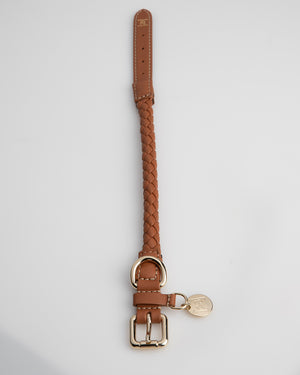 FERDINANDO NAPPA LEATHER COLLAR | קולר עור נאפה לכלב