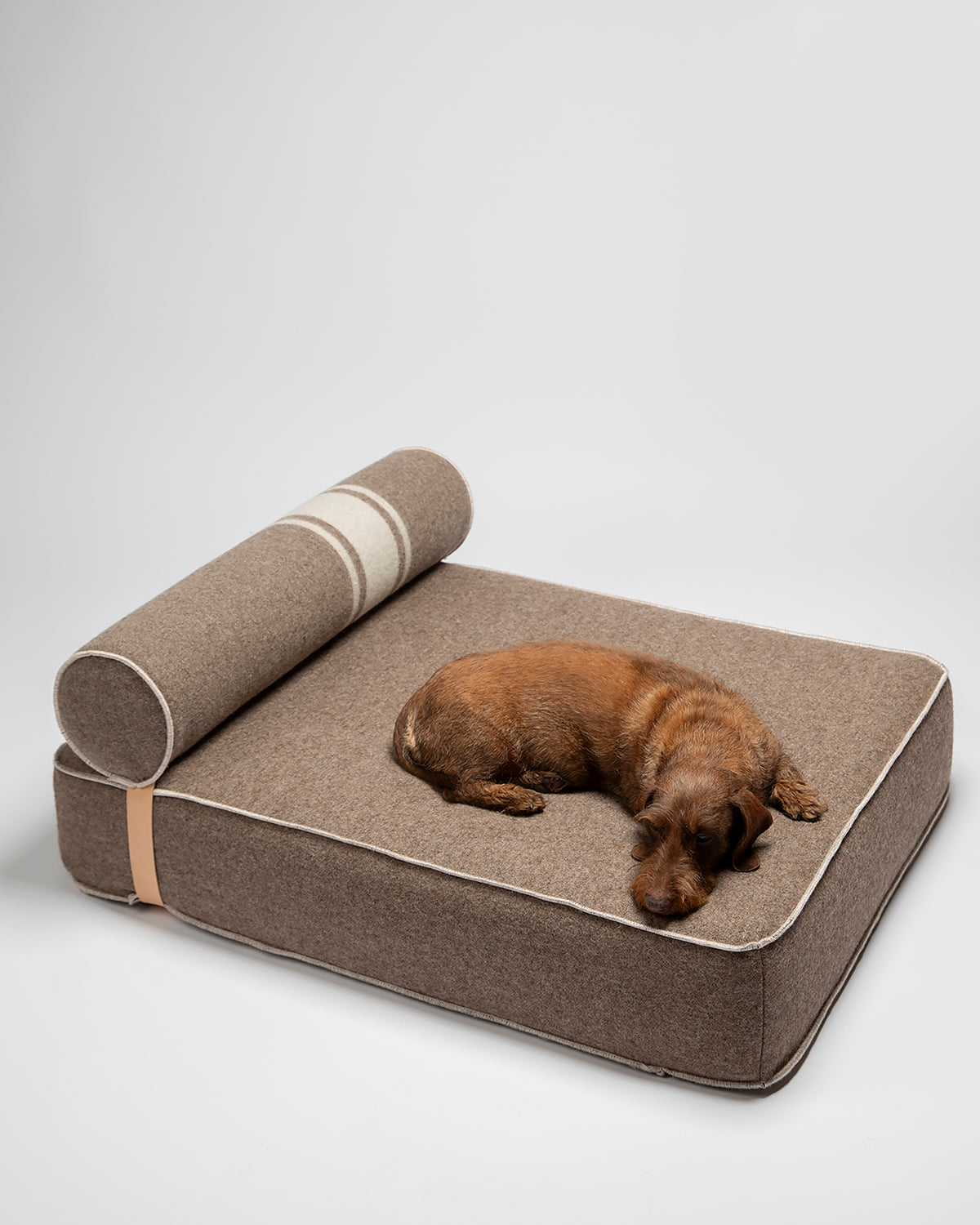 GIAMPAOLO DOG LOUNGE BED | מיטת לאונג׳ לכלב