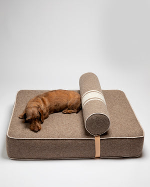 GIAMPAOLO DOG LOUNGE BED | מיטת לאונג׳ לכלב